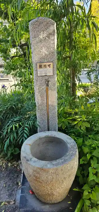 西龍寺の{uncategorized: "未分類", other: "その他", undefined: "問題あり", building: "その他建物", grave: "お墓", sacred_gate: "鳥居", guardian: "狛犬", statue: "像", buddha: "仏像", history: "歴史", nature: "自然", garden: "庭園", animal: "動物", pagoda: "塔", temizu: "手水舎", mountain_gate: "山門・神門", sanctuary: "本殿・本堂", subordinate: "末社・摂社", art: "芸術", scenery: "景色", jizo: "地蔵", ema: "絵馬", goshuin: "御朱印", omikuji: "おみくじ", items: "授与品その他", amulet: "お守り", goshuincho: "御朱印帳", eats: "食事", festival: "お祭り", votive_dance: "神楽", shichigosan: "七五三参", wedding: "結婚式", experience: "体験その他", initially: "初詣", around: "周辺", anti_infection: "感染症対策"}