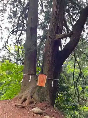大山阿夫利神社(神奈川県)