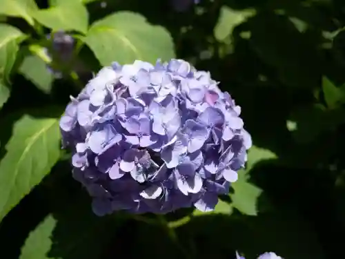 装束稲荷神社（王子稲荷神社境外摂社）(東京都)