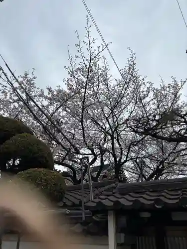 妙琳坊(大阪府)