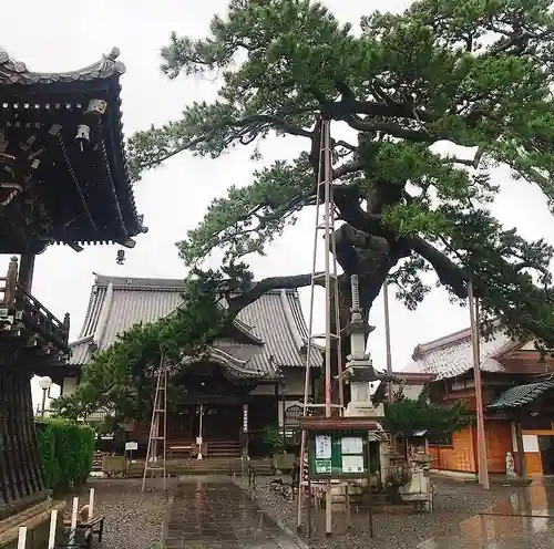 大慶寺の本殿・本堂
