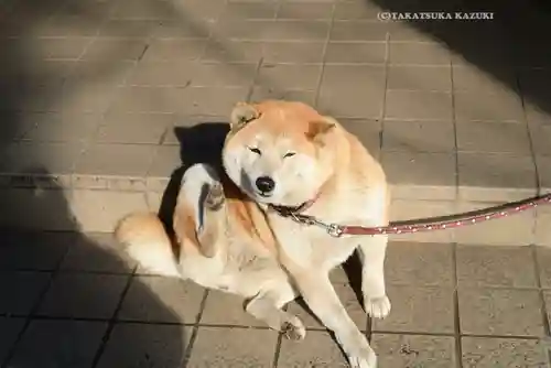 笠䅣稲荷神社(神奈川県)