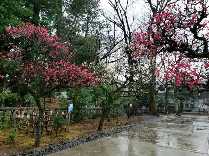 布多天神社(東京都)