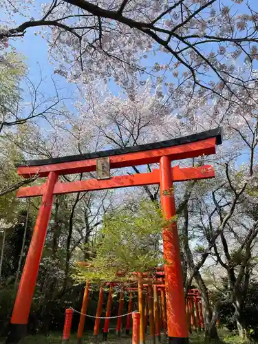 柳井稲荷神社の鳥居