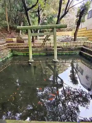 大洗磯前神社の鳥居