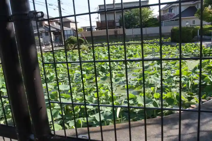 大日堂(近江妙蓮公園)(滋賀県)