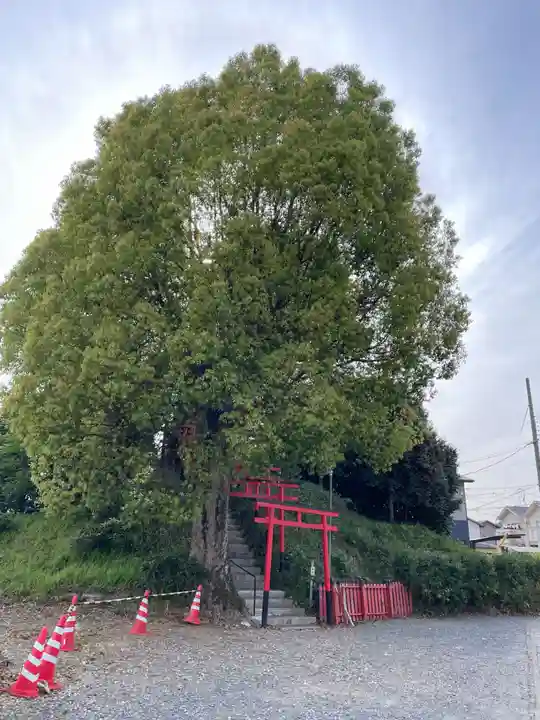 富岡大明神(京都府)