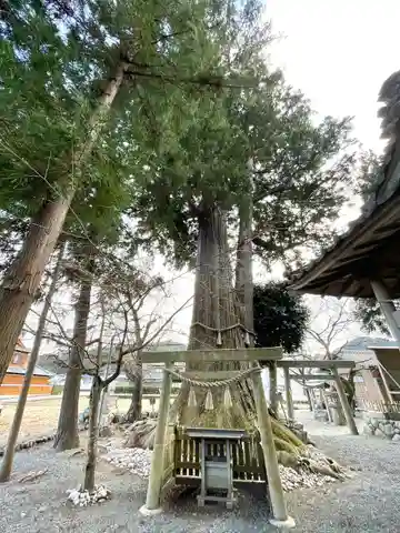 津田神社(三重県)