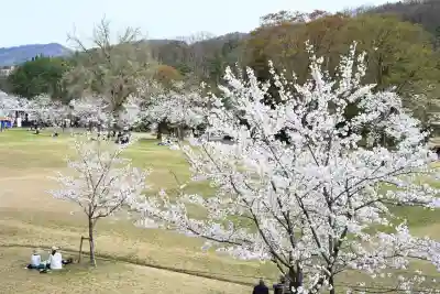 蒼柴神社(新潟県)