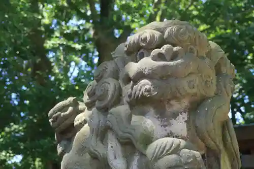 熊野福藏神社の狛犬