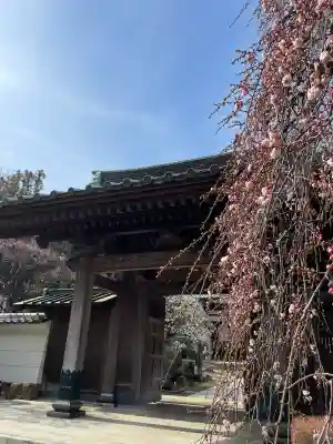 貴雲寺の{uncategorized: "未分類", other: "その他", undefined: "問題あり", building: "その他建物", grave: "お墓", sacred_gate: "鳥居", guardian: "狛犬", statue: "像", buddha: "仏像", history: "歴史", nature: "自然", garden: "庭園", animal: "動物", pagoda: "塔", temizu: "手水舎", mountain_gate: "山門・神門", sanctuary: "本殿・本堂", subordinate: "末社・摂社", art: "芸術", scenery: "景色", jizo: "地蔵", ema: "絵馬", goshuin: "御朱印", omikuji: "おみくじ", items: "授与品その他", amulet: "お守り", goshuincho: "御朱印帳", eats: "食事", festival: "お祭り", votive_dance: "神楽", shichigosan: "七五三参", wedding: "結婚式", experience: "体験その他", initially: "初詣", around: "周辺", anti_infection: "感染症対策"}