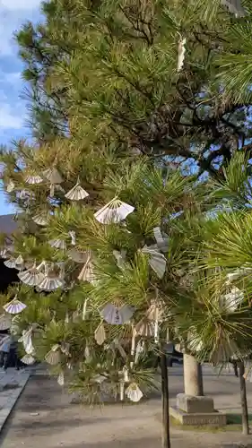 智恩寺(京都府)