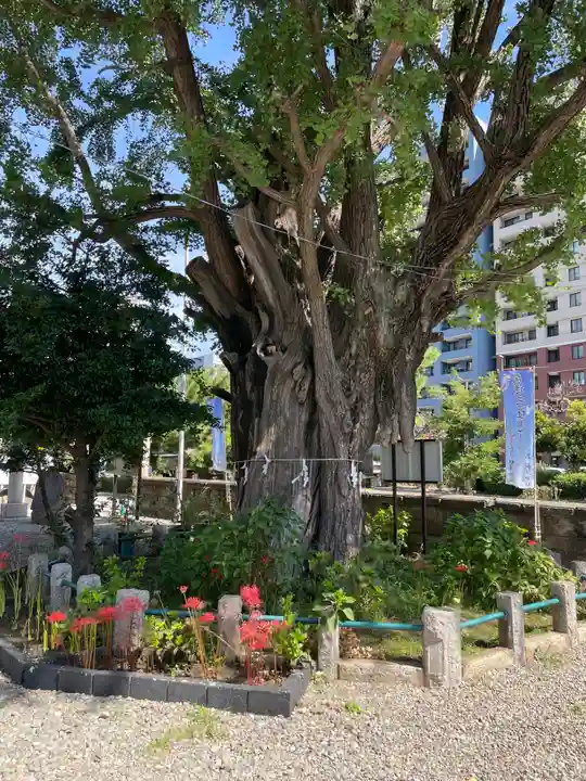 磐井神社(東京都)
