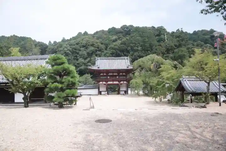 金剛寺(大阪府)