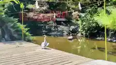 平塚八幡宮(神奈川県)