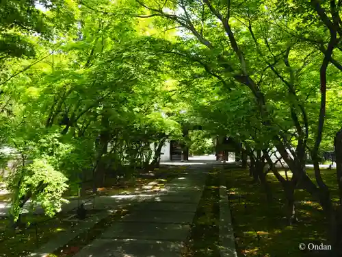 興聖寺(京都府)