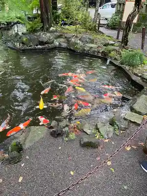 伊豆山神社(静岡県)