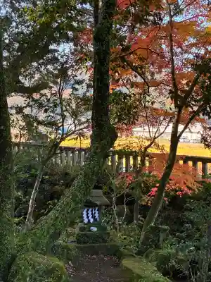 来宮神社(静岡県)