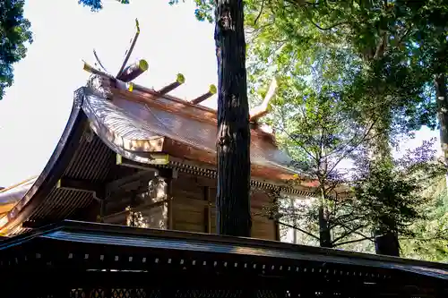 大麻比古神社(徳島県)