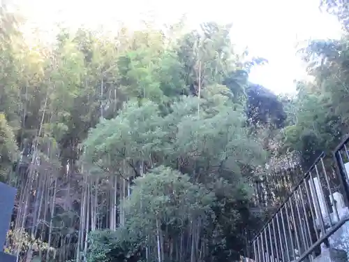 吉祥寺(神奈川県)