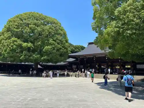 明治神宮(東京都)
