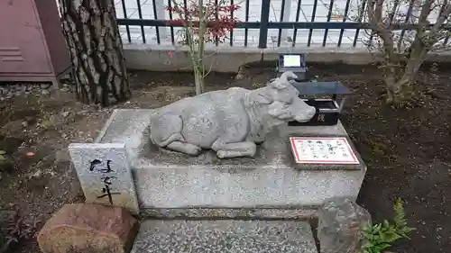 六波羅蜜寺の狛犬