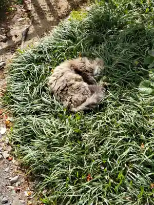 唐澤山神社(栃木県)
