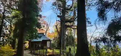 木幡山隠津島神社(二本松市)の周辺