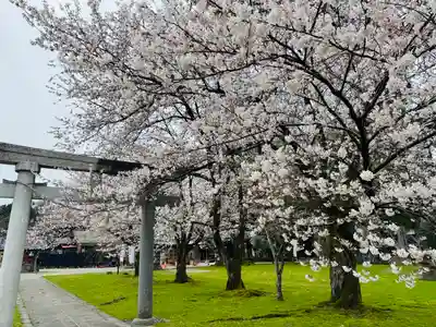守りの神　藤基神社(新潟県)