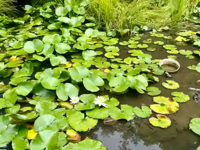 清水寺(宮城県)