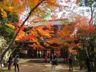 永源寺の山門・神門