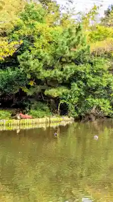 菊田神社の周辺