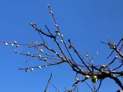 龍隠庵の{uncategorized: "未分類", other: "その他", undefined: "問題あり", building: "その他建物", grave: "お墓", sacred_gate: "鳥居", guardian: "狛犬", statue: "像", buddha: "仏像", history: "歴史", nature: "自然", garden: "庭園", animal: "動物", pagoda: "塔", temizu: "手水舎", mountain_gate: "山門・神門", sanctuary: "本殿・本堂", subordinate: "末社・摂社", art: "芸術", scenery: "景色", jizo: "地蔵", ema: "絵馬", goshuin: "御朱印", omikuji: "おみくじ", items: "授与品その他", amulet: "お守り", goshuincho: "御朱印帳", eats: "食事", festival: "お祭り", votive_dance: "神楽", shichigosan: "七五三参", wedding: "結婚式", experience: "体験その他", initially: "初詣", around: "周辺", anti_infection: "感染症対策"}