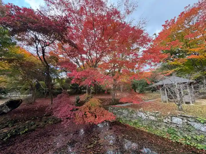 丹生都比売神社(和歌山県)