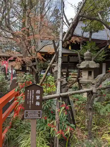 愛宕神社の自然