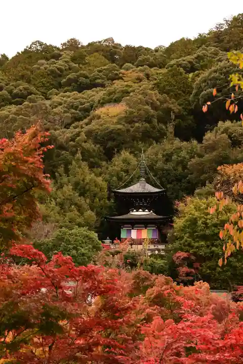 禅林寺(永観堂)(京都府)