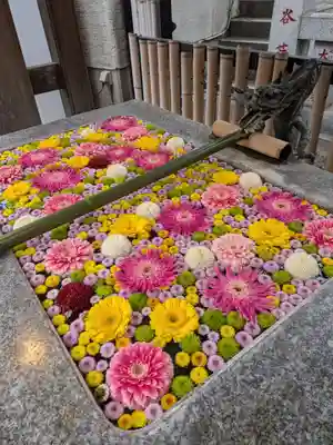 高円寺氷川神社(東京都)