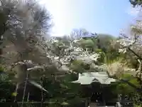 御霊神社のその他建物