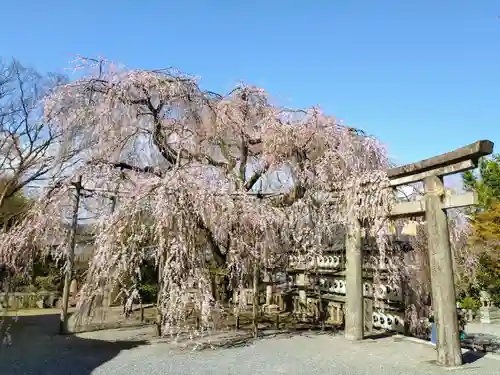 大石神社(京都府)
