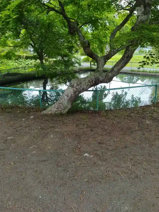 熊野本宮社(宮城県)