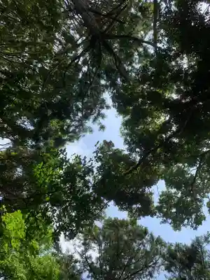 熊野神社の自然