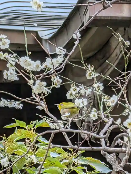 繁榮稲荷神社(東京都)