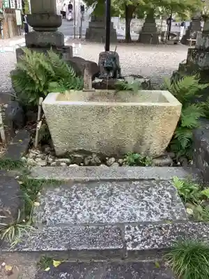 八事山 興正寺の手水舎