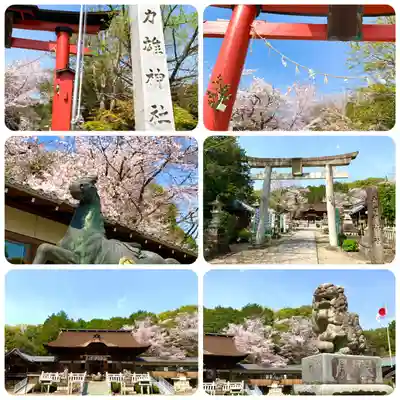 手力雄神社(岐阜県)