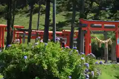 高屋敷稲荷神社の鳥居