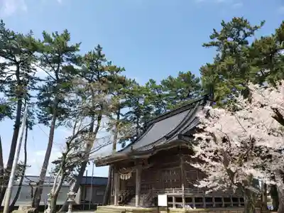 秋葉神社の本殿・本堂