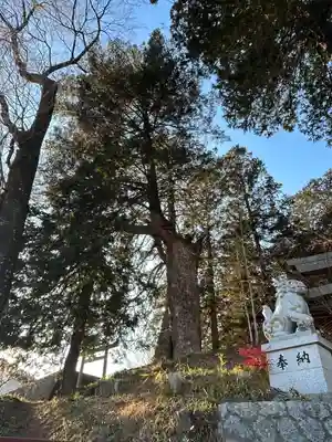 若宮八幡神社(山梨県)