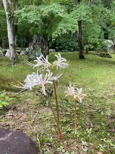 伊勢の国 四天王寺の庭園