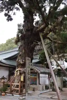 極楽寺(徳島県)