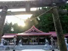 金蛇水神社の鳥居